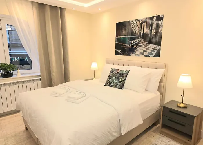 公寓 Luxury Old Town Center 贝尔格莱德